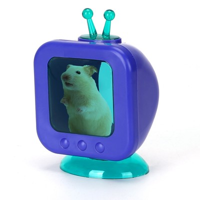 Se Hamster-TV L9xB7xH13cm - Blå hos Aigostar.dk