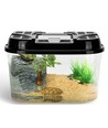 Reptil Terrarium XXL - 43,2 x 28 x 27,2 cm, Gennemsigtig