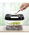 Reptil Terrarium XXL - 43,2 x 28 x 27,2 cm, Gennemsigtig