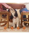 Kylling Rullet Hvid Knudret Ben - 6,5 cm, 100g/PE Pose, Orange, til hund