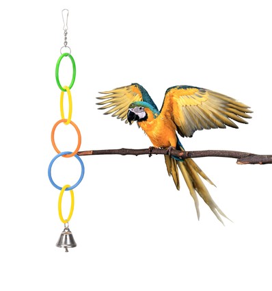 Fuglelegetøj: Fem Farverige Ringe - L29 x W4.8 cm - Grøn, Gul, Orange, Blå, Rød, assorteret 1 stk.