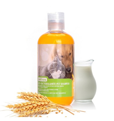 Anti-Bakteriel Midt Dæmpende Hundeshampoo, 250ml - Orange