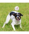 Gummi Baseball kæledyrslegetøj - D7.2 cm, Hvid/Rød/Blå, hund/kat, assorteret 1 stk.