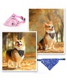 Hundehalstørklæde: W 1,5 x L 25-40 cm
