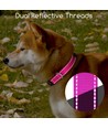 Hundehalsbånd - Lyserød, B2,5 x L40-60 cm