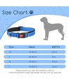 Hundehalsbånd - Blå, Bredde 2,5 cm, Justerbar Længde 40-60 cm