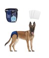 Beskyttelsesbukser / ble / bind til hunde L (40-49 cm) - Mørkeblå