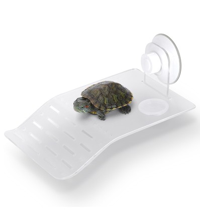 Skildpadde Trappe - L12 x B18,5 cm - Gennemsigtig