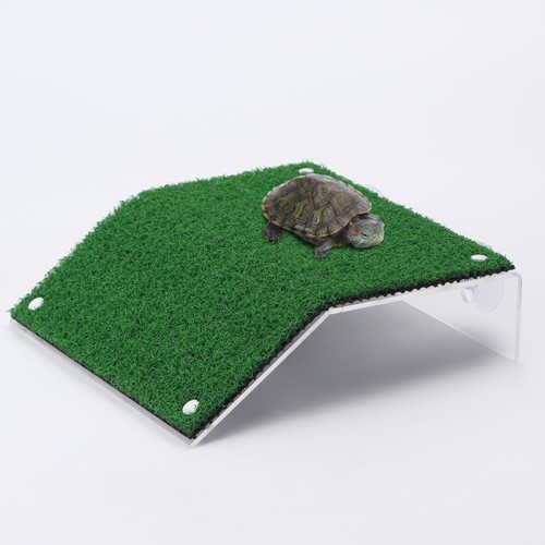 Skildpadde Trapper - L20*W21cm, Grøn