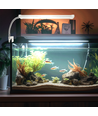 Akvarium LED Klemmelampe - Hvidt Lys med Skifter, 8W, 16 Lampeperler, 31-45 cm