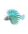 Fluorescerende Dragefisk - Sort/Blå/Brun (S) 10,5x2,5x8 cm