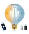 WB Smart LED Filament G95 E27 6W CCT / Amber