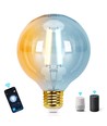 WB Smart LED Filament pære G95 E27 6W CCT / Amber