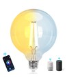 Smart LED Filament pære G125 - E27 6W CCT/Klar