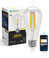 Smart LED Filament pære ST64 - E27 6W CCT/Klar - WB