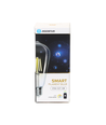 Smart LED Filament pære ST64 - E27 6W CCT/Klar - WB