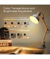 Smart LED Filament pære ST64 - WB 6W E27 CCT/Amber