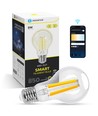 Smart LED Filament pære A60 - E27 6W CCT/Klar