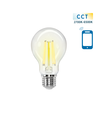 Smart LED Filament pære A60 - E27 6W CCT/Klar