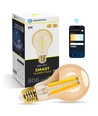 Smart LED Filament pære A60 E27 - 6W, CCT/Amber - WB