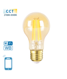 Smart LED Filament pære A60 E27 - 6W, CCT/Amber - WB