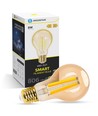 Smart LED Filament pære A60 E27 - 6W, CCT/Amber - WB