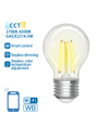 Smart LED Filament G45 E27 4.5W CCT/Klar