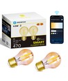 Smart LED Filament G45 E27 4.5W CCT/Amber - Dobbelt Pakke