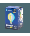 Bluetooth Mesh Smart Filament pære - G80 E27 6W CCT - Klar