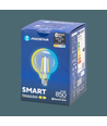 Bluetooth Mesh Smart Filament G95 E27 6W CCT - Klar
