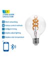 Bluetooth Mesh Smart Filament G95 E27 6W CCT - Klar