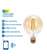Bluetooth Mesh Smart Filament G95 E27 6W CCT Justerbar - Amber