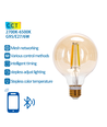 Bluetooth Mesh Smart Filament pære - G95 E27 6W CCT Justerbar - Amber