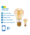 Bluetooth Mesh Smart Filament pære - A60 E27 6W CCT Amber - Dobbelpakke med Fjernbetjening