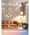 Bluetooth Mesh Smart LED Pære A60 E27 12W RGB+CCT med Fjernbetjening - 2 stk