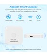 Bluetooth smart mesh gateway