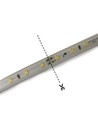 LED Lysstrip, 5050, 60 LED/m, 10mm, Varm Hvid, 50m - Integreret Kredsløb