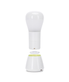 LED natlampe