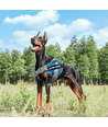 Hundesele X25 XS - Hals: 29-36 cm, Bryst: 41-49 cm, Farver: Lyseblå/Brun/Sort