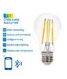 Bluetooth Mesh Smart Filament pære - A60 E27 6W CCT - Klar