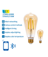 Bluetooth Mesh Smart Filament pære ST64 E27 - 6W CCT Amber - Dobbelt Pakke med Fjernbetjening