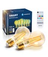 Bluetooth Mesh Smart Filament pære A60 - E27 6W CCT Ravfarvet - 6 stk. med Fjernbetjening