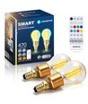 Bluetooth Mesh Smart Filament pære G45 - E14 4,5W CCT Amber - Med Fjernbetjening, Dobbelt-pakke