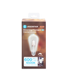 LED-DÆMPBAR FILAMENT ST64 E27 - 6W 6500K KLAR