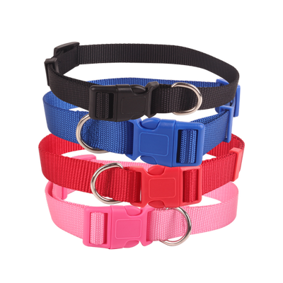 Nylon Hundehalsbånd - B1.0 * L20-30cm - Sort/Blå/Rød/Pink, assorteret 1 stk.