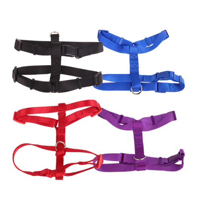 Nylon Hundesele Sort, Blå, Rød, Lilla - Hals: 16-25 cm, Bryst: 21-35 cm, assorteret 1 stk.