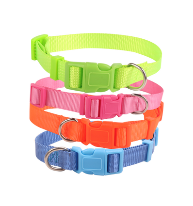 Fluorescerende Imiteret Nylon Hundehalsbånd - W1.0*L20-30cm - Grøn/Pink/Orange/Blå