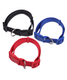 Hundehalsbånd med Refleks - B2,5 x L40-60cm - Sort/Blå/Rød