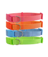 Hundehalsbånd W1.0*L20-30cm - Lyserød | Fluorescerende Orange | Fluorescerende Grøn | Blegblå
