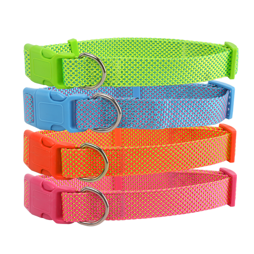 Hundehalsbånd W2.5*L40-60cm - Pink/Fluorescerende Orange/Fluorescerende Grøn/Bleg Blå